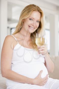 Royalty Free Photo of a Pregnant Woman With a Glass of Wine