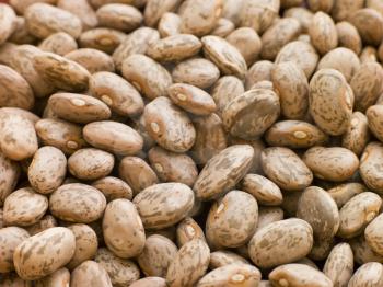 Royalty Free Photo of Pinto Beans