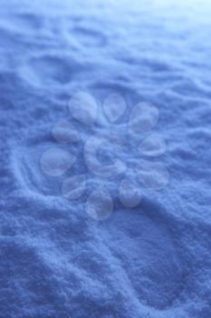Royalty Free Photo of Footprints in Snow