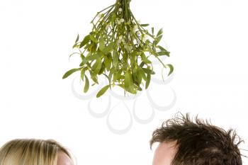 Royalty Free Photo of a Couple Under the Mistletoe