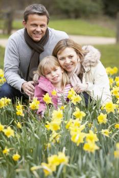 Royalty Free Photo of a Family in Daffodils