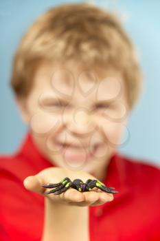 Royalty Free Photo of a Boy With a Plastic Spider