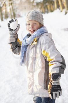 Boy About To Throw Snowball In Snowy Woodland