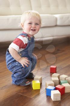 Young Boy Playing With Coloured Blocks At Home