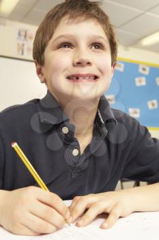 Schoolboy Studying In Classroom
