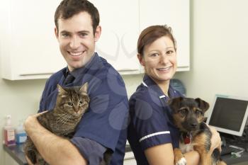 Male Veterinary Surgeon And Nurse Holding Cat And Dog In Surgery