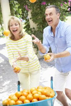 Senior Couple Juggling Oranges In Front Of Wheelbarrow