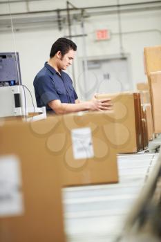 Worker Checking Goods On Belt In Distribution Warehouse