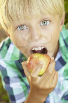 Young boy eating apple