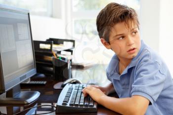 Young boy using computer at home