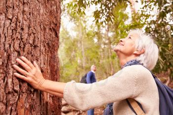 Senior woman touching tree in forest, man in the background