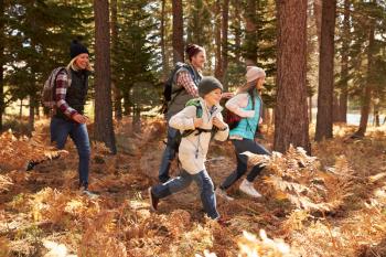 Family hiking through a forest, California, USA