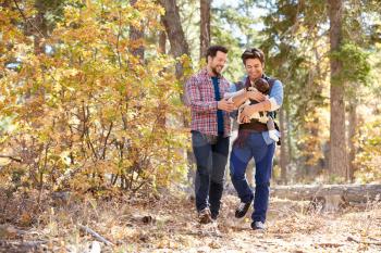 Gay Male Couple With Baby Walking Through Fall Woodland