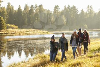 Five friends walking in a row in countryside beside a lake