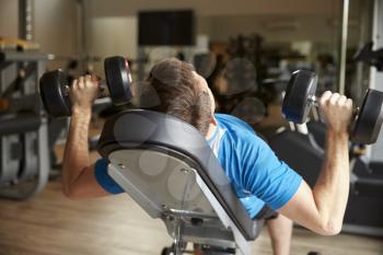Man works out with dumbbells on a bench at a gym, back view
