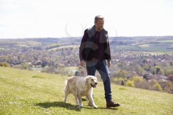 Mature Man Taking Golden Retriever For Walk In Countryside