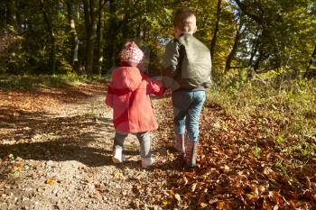 Rear View Of Children On Autumn Walk In Woodland Together