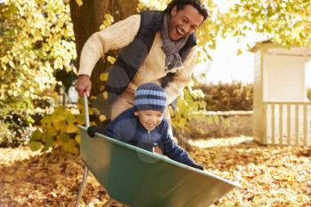 Father In Autumn Garden Gives Son Ride In Wheelbarrow