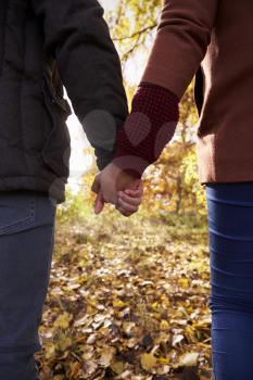 Young Couple Holding Hands On Walk In Autumn Woodland