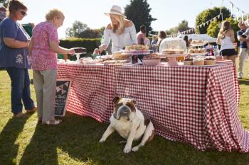 English Bulldog Sitting By Cake Stall At Busy Summer Garden Fete