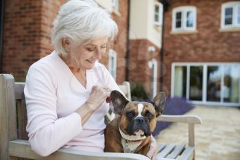 Senior Woman Sitting On Bench With Pet French Bulldog In Assisted Living Facility