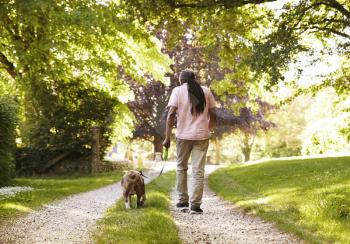 Rear View Of Senior Man Walking With Pet Bulldog In Countryside