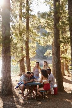 Group of friends hanging out at a table by a lake, vertical