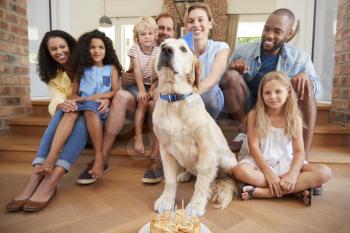 Two families celebrating pet dogs birthday at home