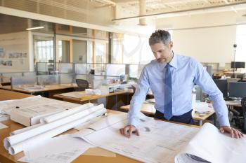 White male architect looking at plans in open plan office
