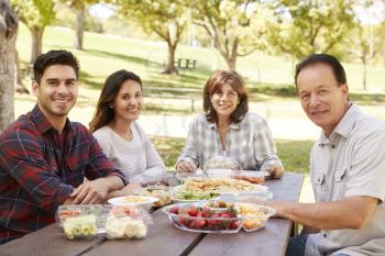 Adult couple and parents having a picnic smile to camera