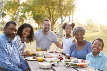 Portrait Of Multi Generation Family Enjoying Picnic In Park Together
