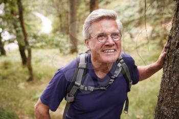 Middle aged Caucasian man taking a break during a hike, leaning on a tree in a forest, waist up, close up