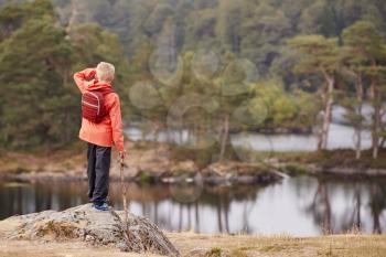A boy standing on a rock holding a stick, admiring a view of lake, back view, Lake District, UK