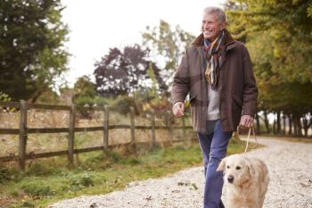 Active Senior Man On Autumn Walk With Dog On Path Through Countryside