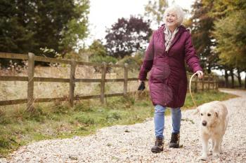 Active Senior Woman On Autumn Walk With Dog On Path Through Countryside