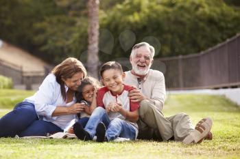 Hispanic grandparents sitting on the grass in the park with their grandchildren laughing, low angle