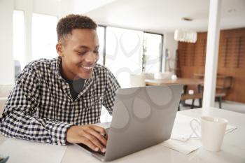 Smiling black male teenager using a laptop computer at home