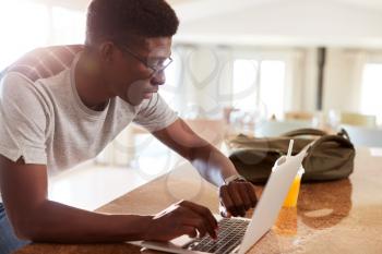Millennial African American man checking fitness data on laptop at home after gym, side view