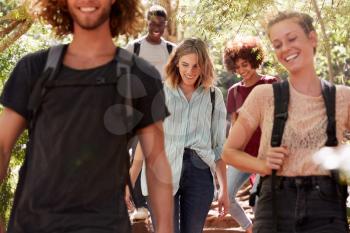 Millennial friends hiking together downhill on a forest trail, close up, crop
