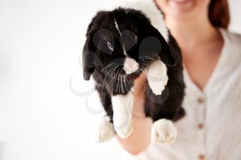 Close Up Of Child Holding Miniature Black And White Flop Eared Rabbit On White Background