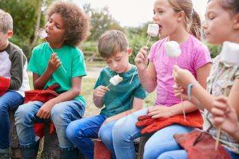 Children On Outdoor Activity Camping Trip Eating Marshmallows Around Camp Fire Together