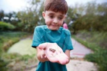 Boy Holding Small Frog As Group Of Children On Outdoor Activity Camp Catch And Study Pond Life