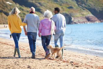 Rear View Of Senior Couple Walking Along Shoreline With Adult Offspring And Dog On Winter Beach