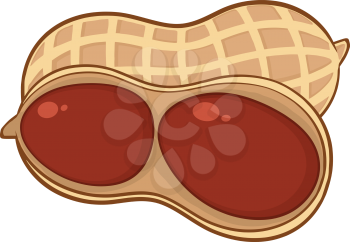 Nut Clipart