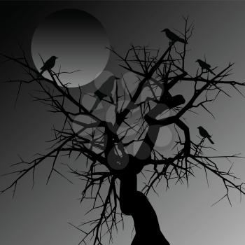 Royalty Free HD Background of a Silhouette of a Spooky Tree