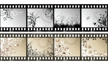 Film strips with different floral designs on each frame