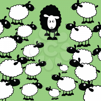 One black sheep amongst lots of white sheep