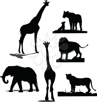 Royalty Free Clipart Image of Jungle Animals in Silhouette