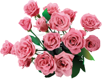 Royalty Free Clipart Image of a Bouquet of Pink Roses