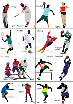Some kinds of sports. Collection. Colored vector illustration